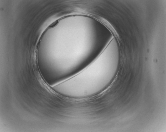 X0000082741292200701261021