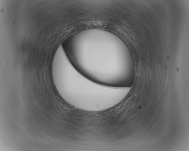 X0000082741297200701261020