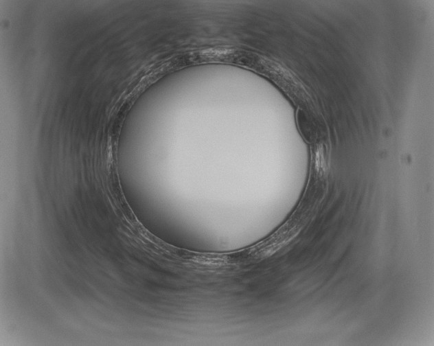 X0000082741299200701261020