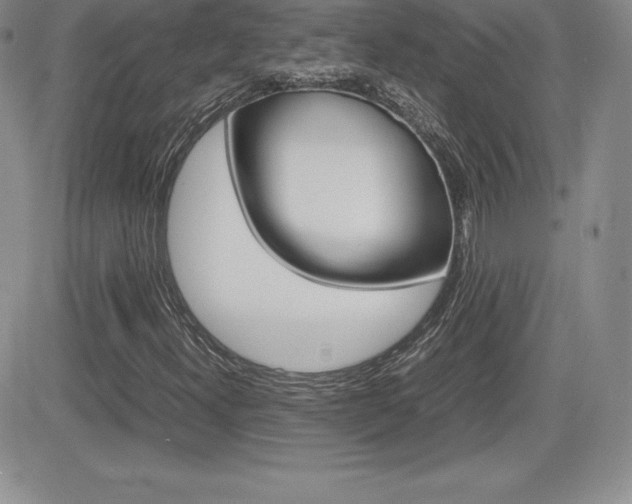 X0000082741300200701261020