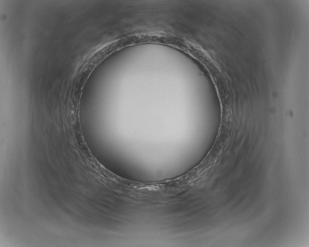X0000082741303200701261020