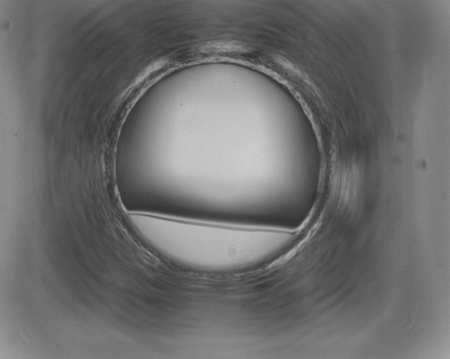 X0000082741305200701261020