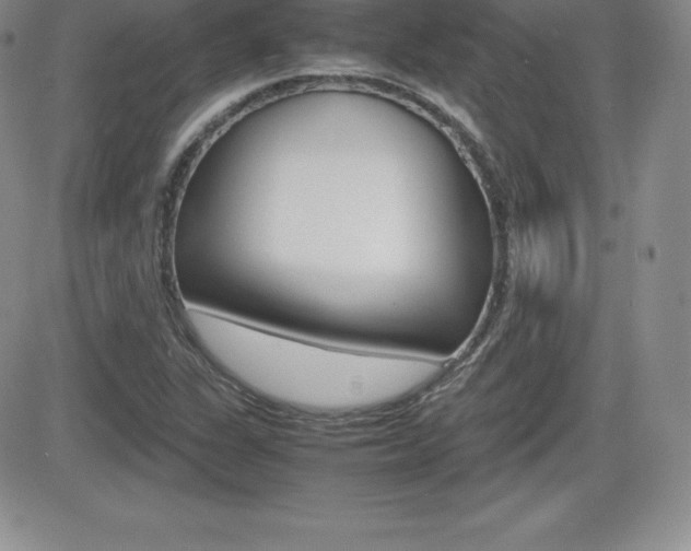 X0000082741311200701261020