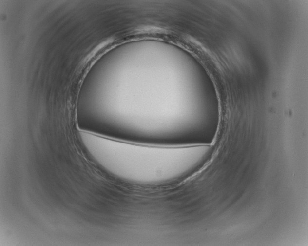 X0000082741313200701261020