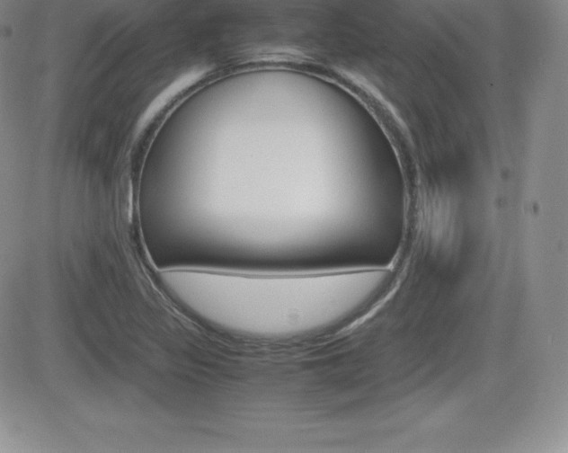 X0000082741317200701261021