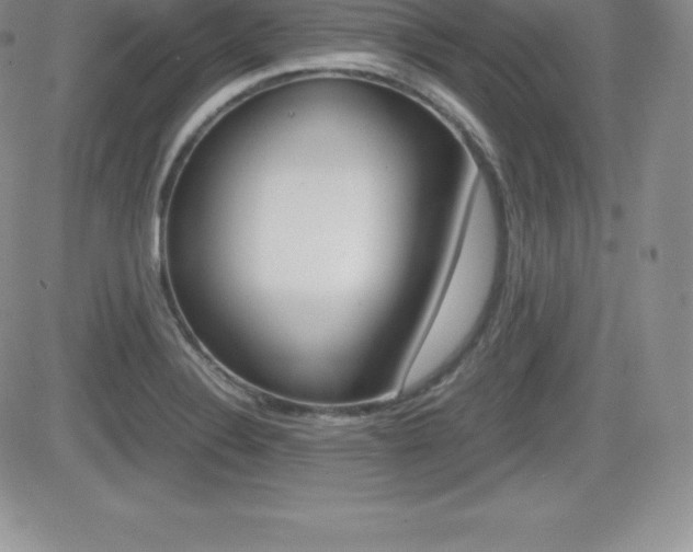 X0000082741324200701261021