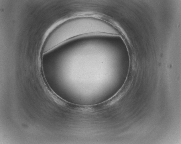 X0000082741328200701261021