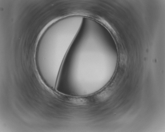 X0000082741331200701261021