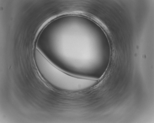 X0000082741332200701261021