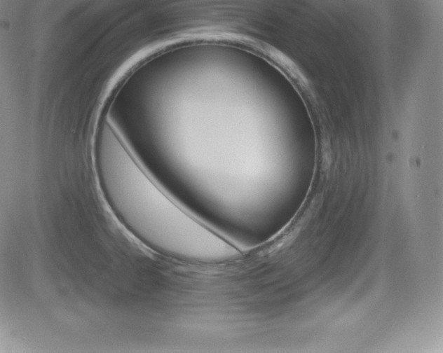 X0000082741334200701261021