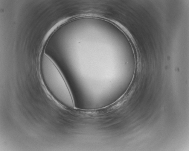 X0000082741341200701261021