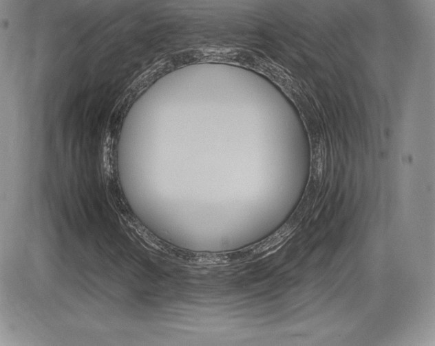 X0000082741346200701261020