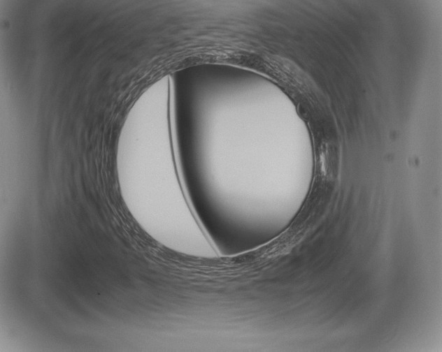 X0000082741347200701261020