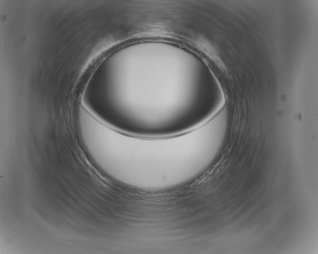 X0000082741356200701261020