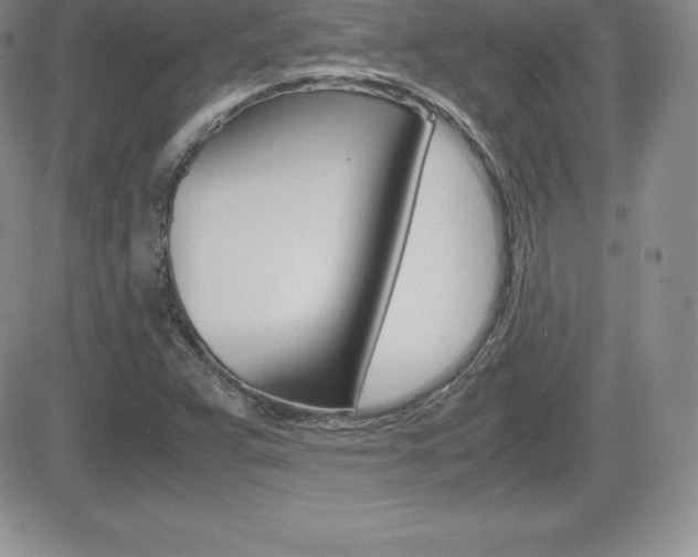 X0000082741359200701261020