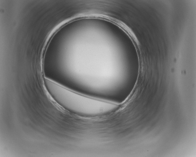X0000082741388200701261019