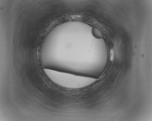 X0000082741395200701261019
