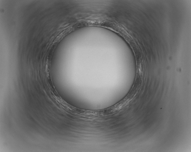 X0000082741396200701261019
