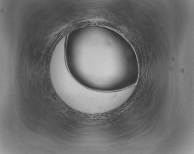 X0000082741398200701261019