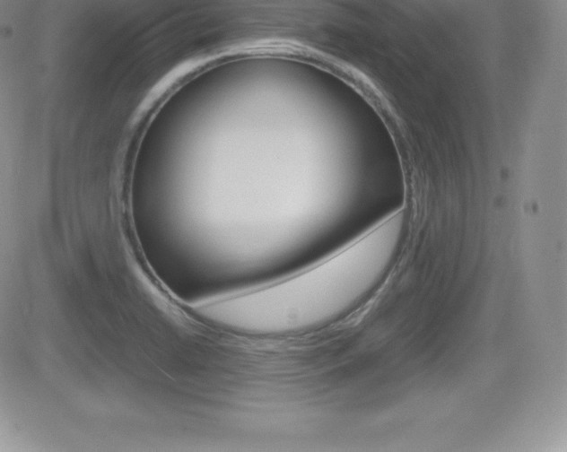 X0000082741422200701261019