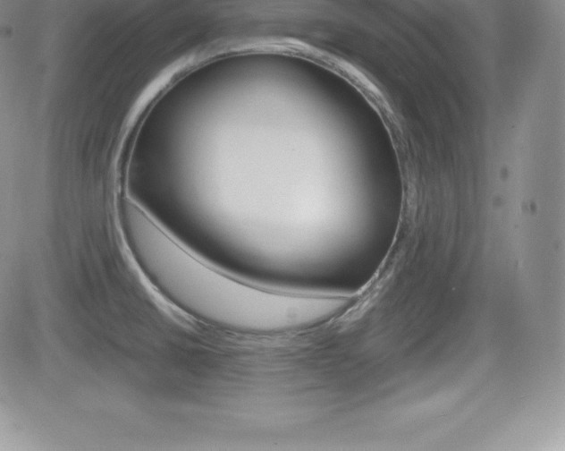 X0000082741430200701261019