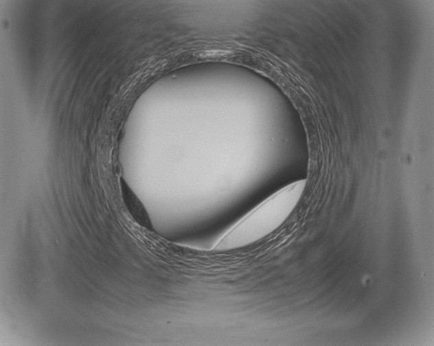 X0000082741441200701261019