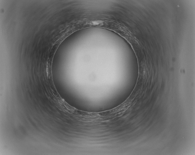 X0000082741442200701261019