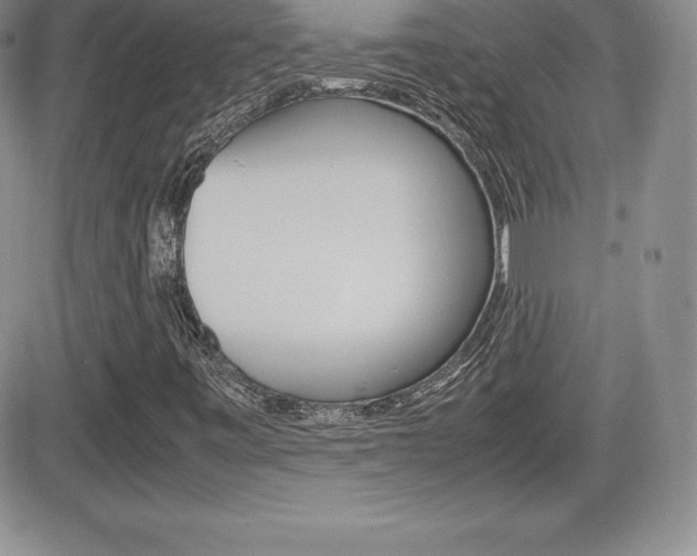 X0000082741443200701261019