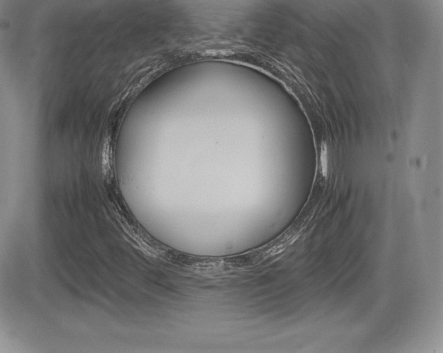 X0000082741444200701261019