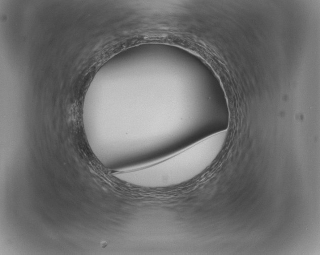 X0000082741445200701261019