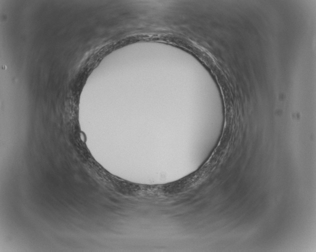 X0000082741447200701261019