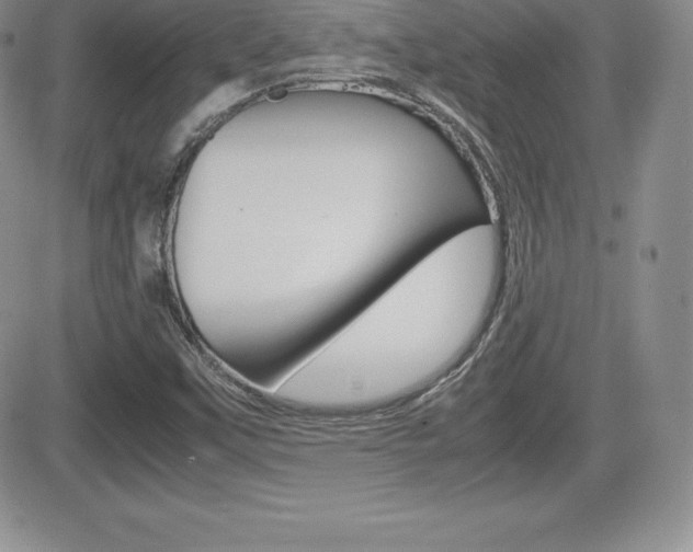 X0000082741451200701261018