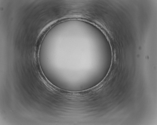 X0000082741452200701261018