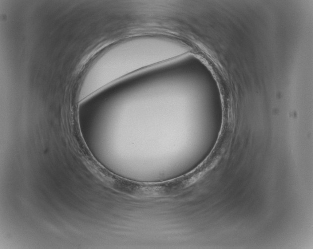 X0000082741453200701261018