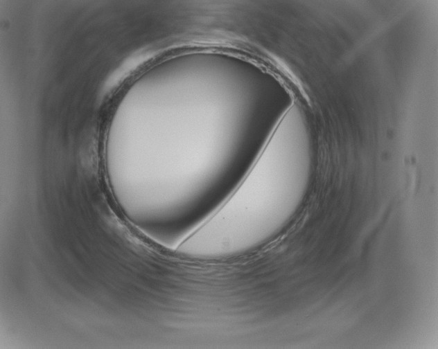 X0000082741456200701261018