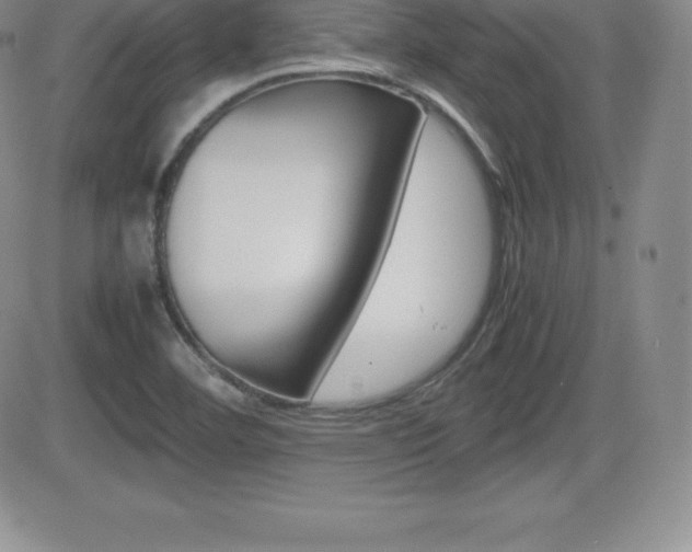 X0000082741460200701261018