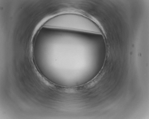 X0000082741472200701261018