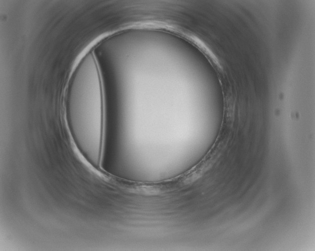 X0000082741476200701261018