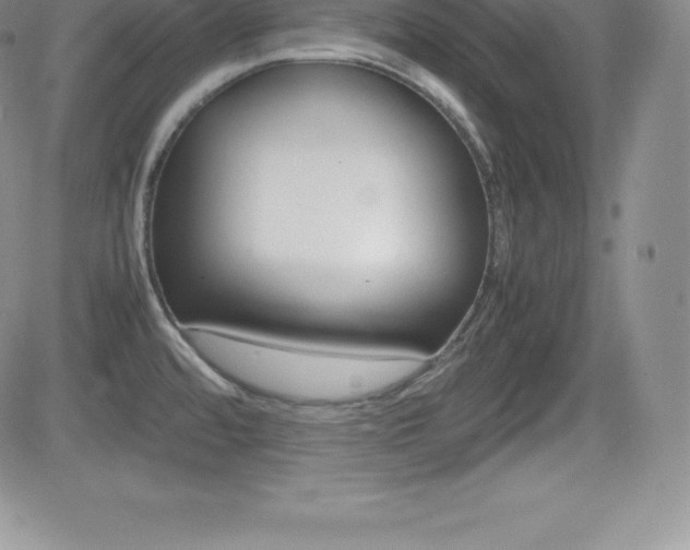 X0000082741480200701261018
