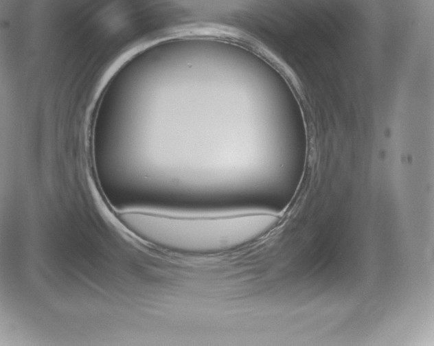 X0000082741483200701261018