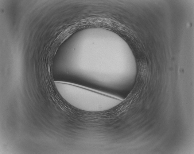 X0000082741489200701261017