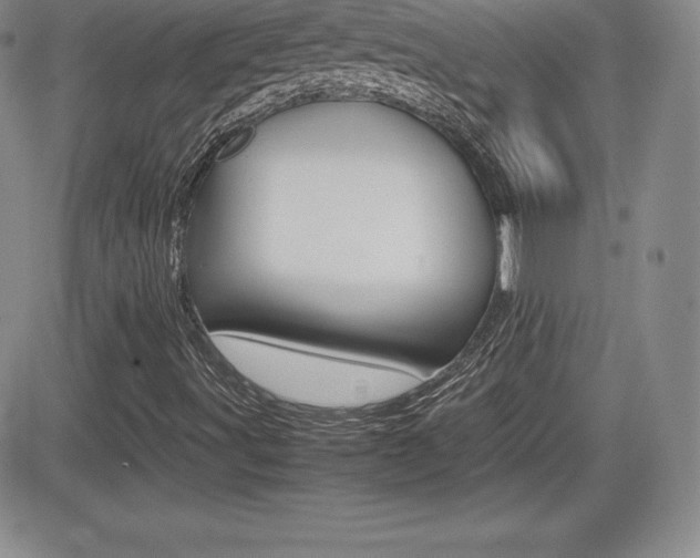 X0000082741491200701261017