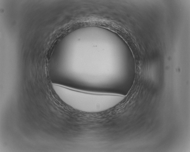 X0000082741493200701261017