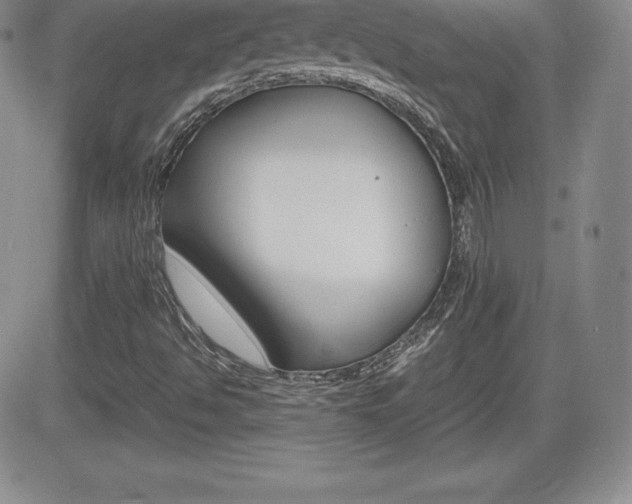 X0000082741494200701261017