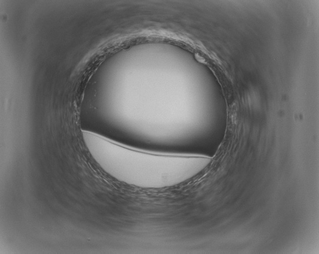 X0000082741495200701261017