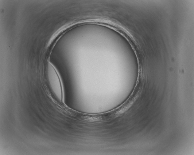 X0000082741501200701261017