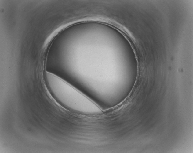 X0000082741504200701261017