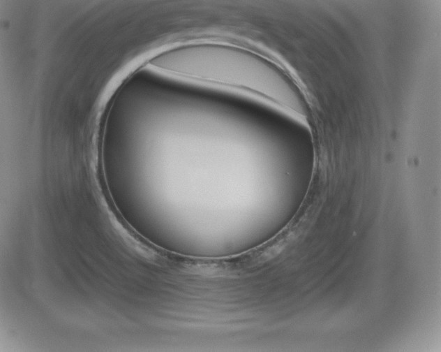 X0000082741512200701261017