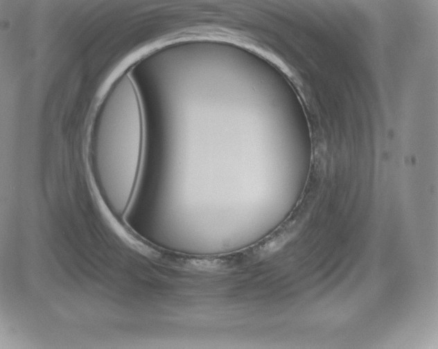 X0000082741523200701261018