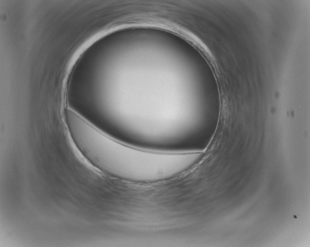 X0000082741528200701261018